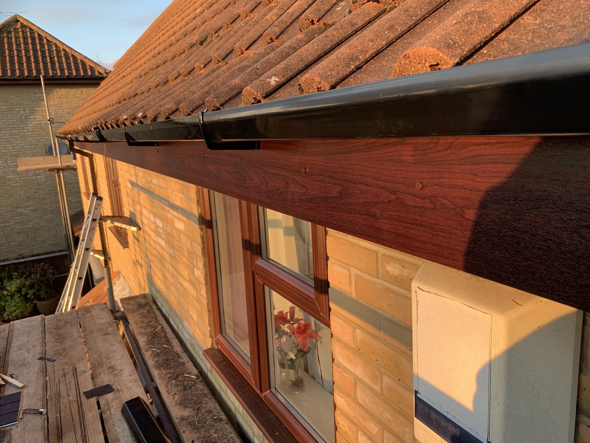 Fascia and Soffit