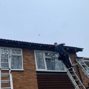 Fascia Board Replacement, Fascia Board Replacement Bedfordshire, Fascia Board Replacement Bedford